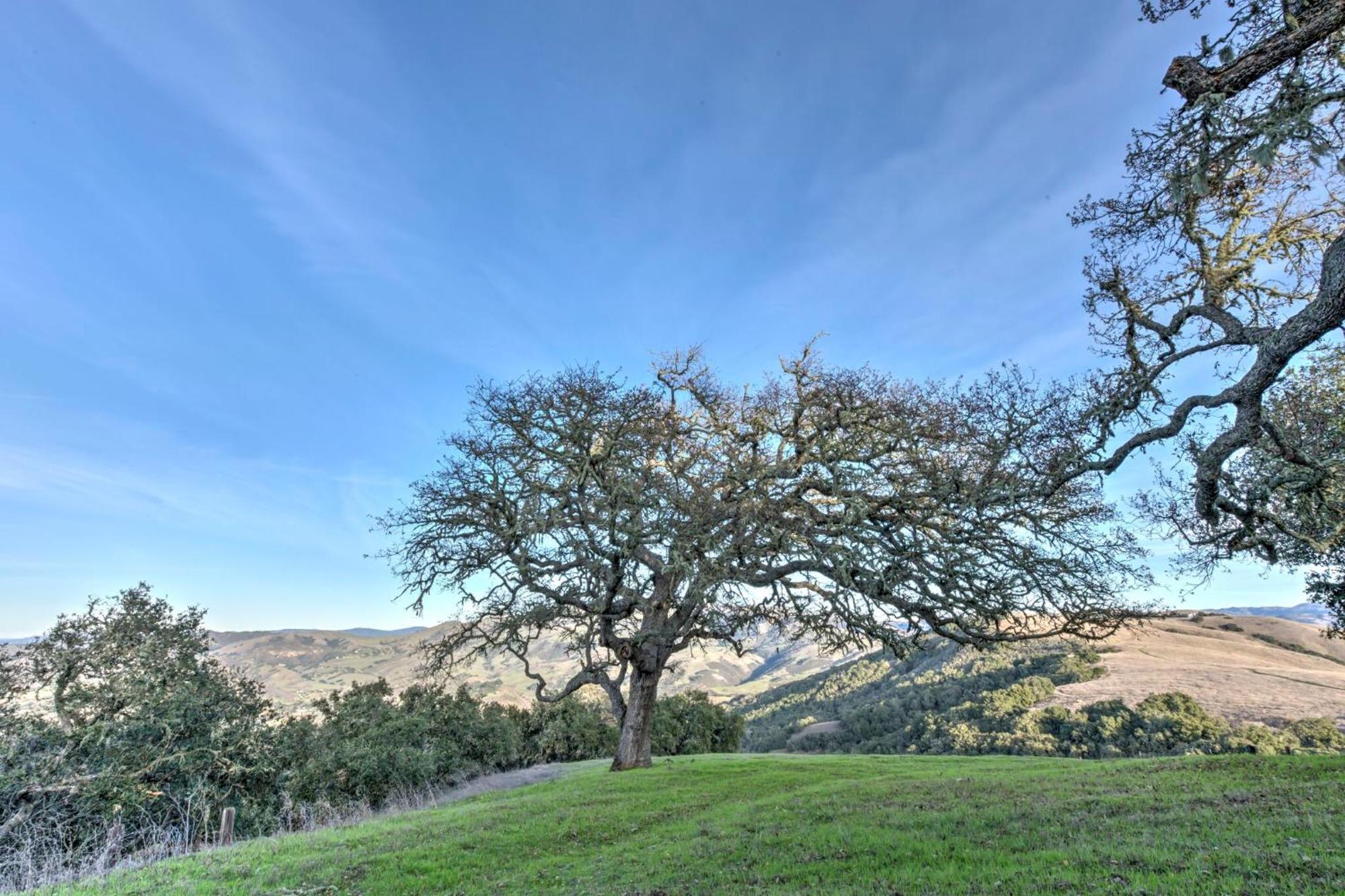 Lx37 Weathertop Ranch In Carmel Wine Country Carmel Valley Extérieur photo